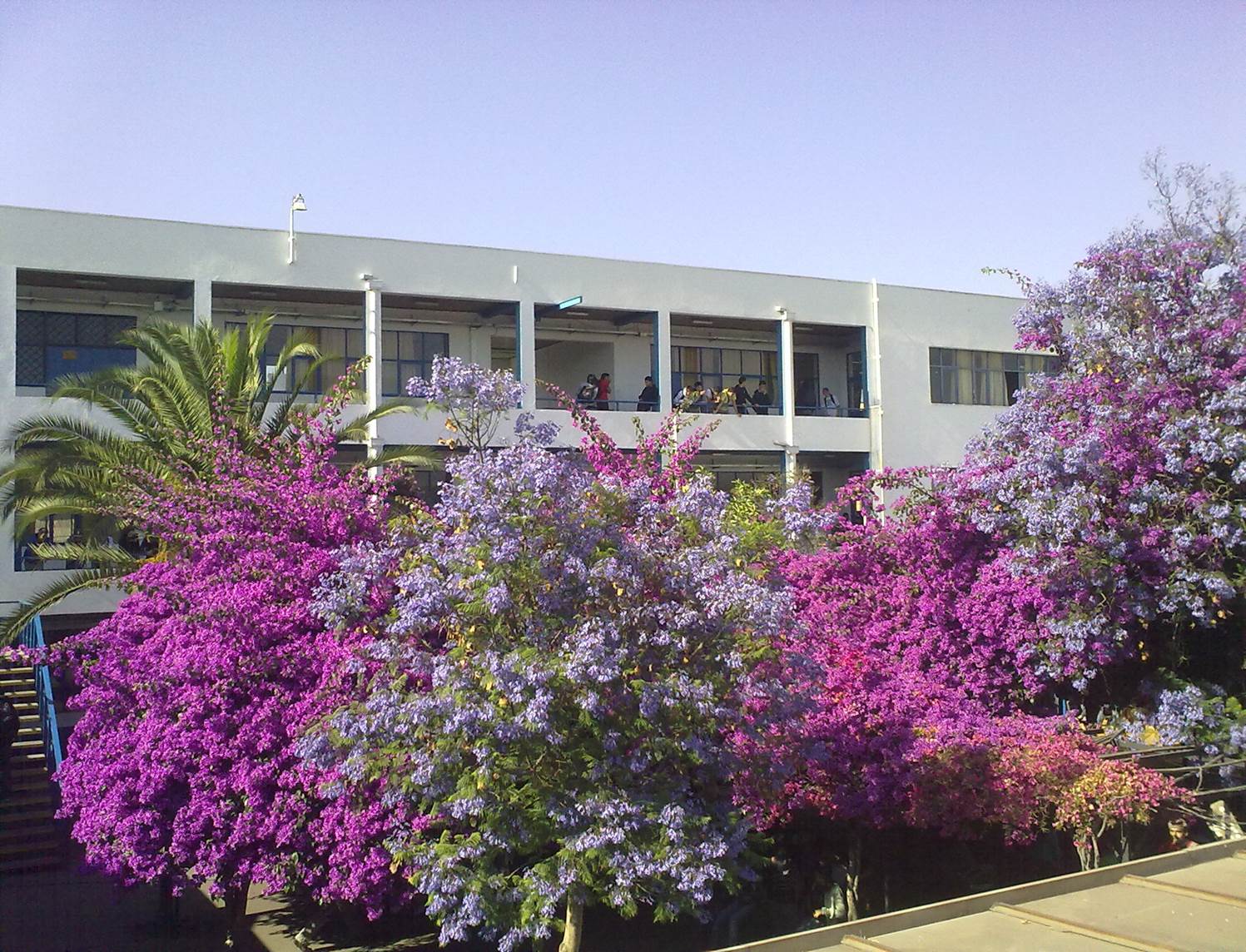 Centro Educacional Alberto Hurtado