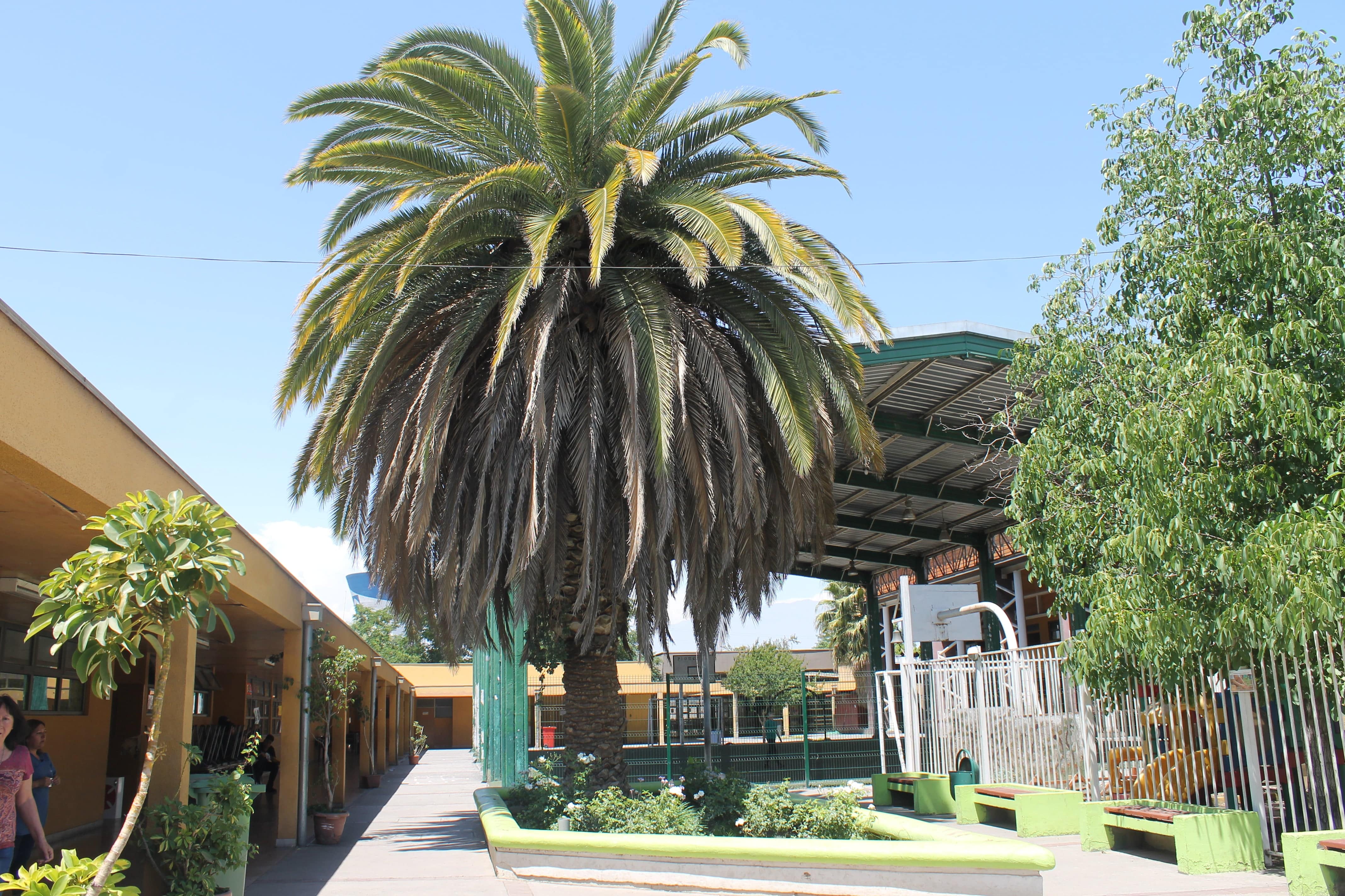 Escuela Republica De Italia