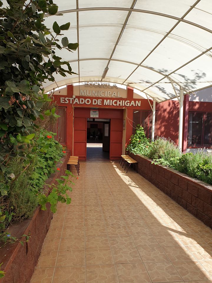 Escuela Estado De Michigan