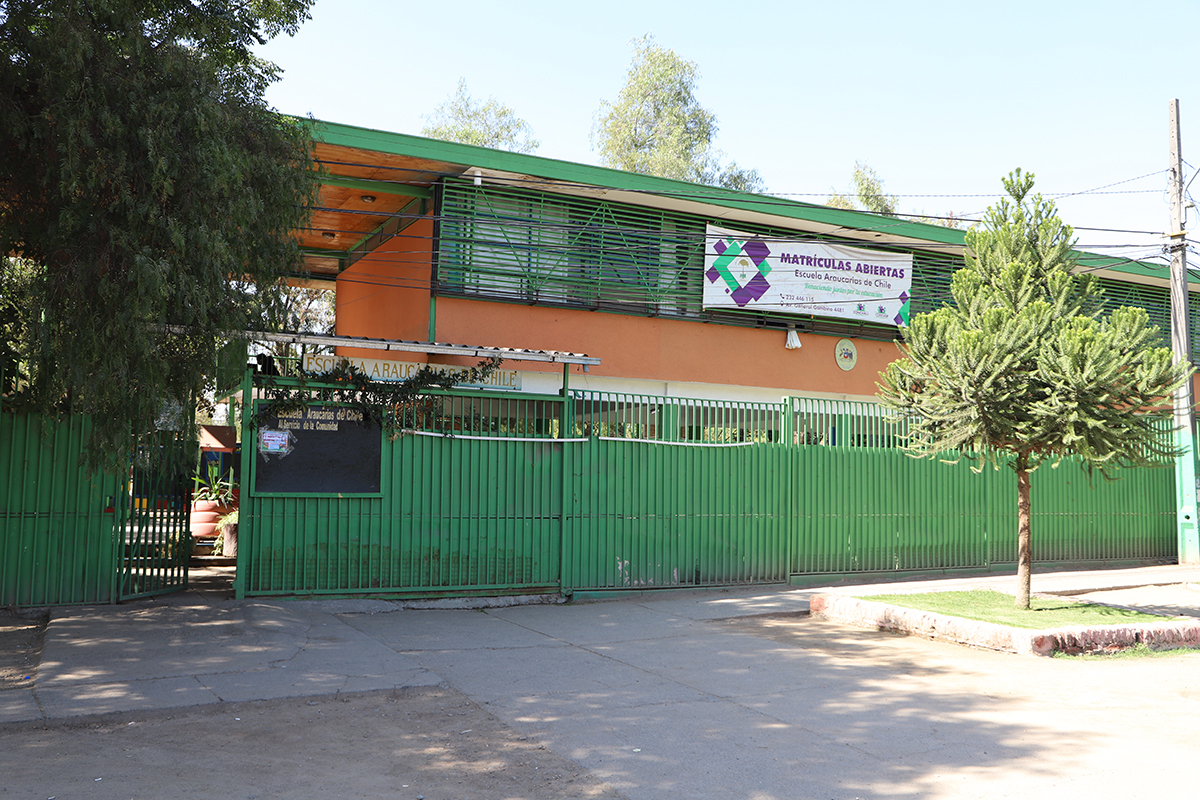 Escuela Araucarias De Chile