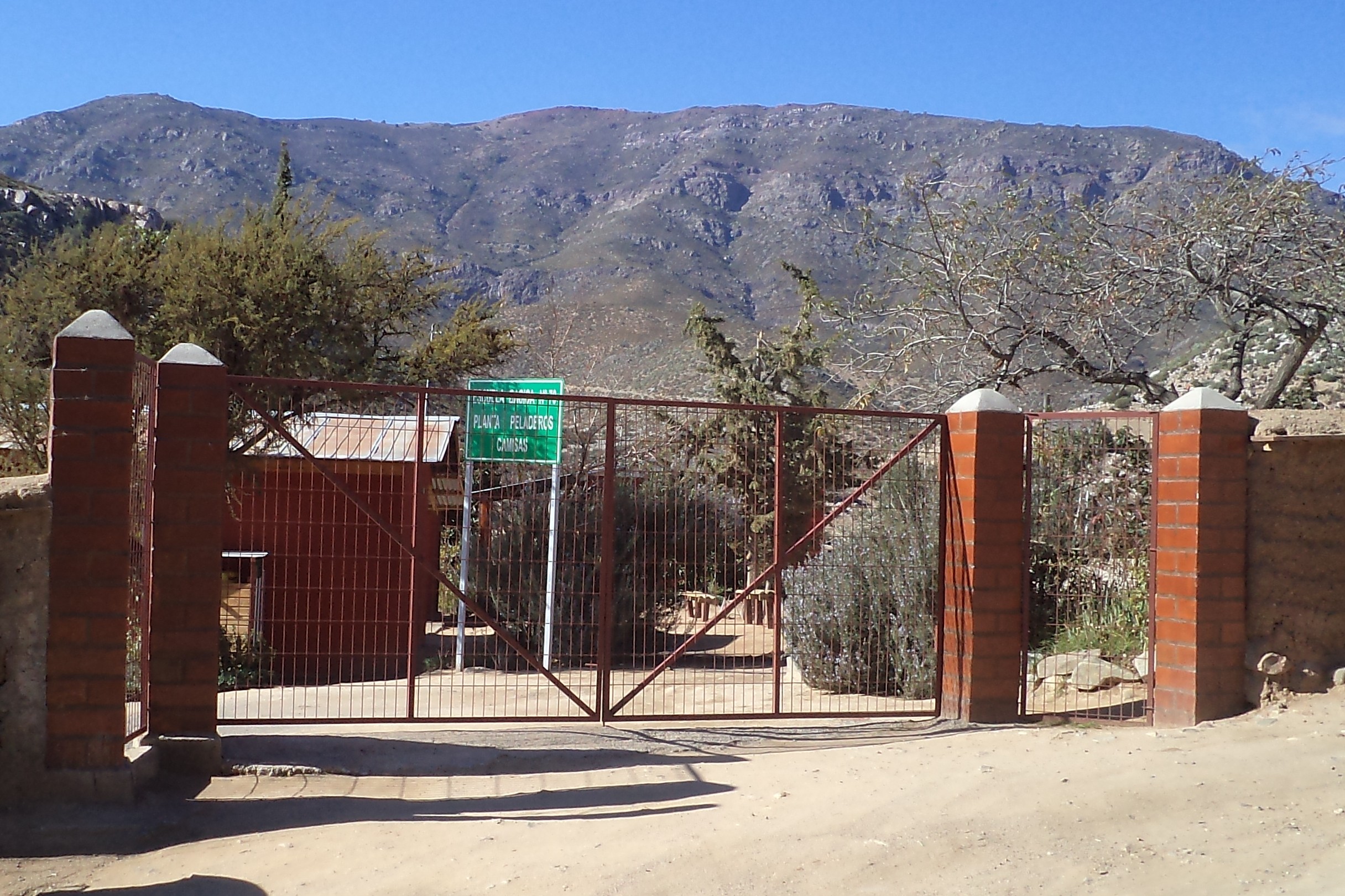 Escuela Particular Planta Peladeros