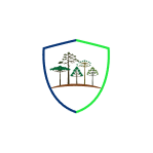Escuela Diferencial Araucaria
