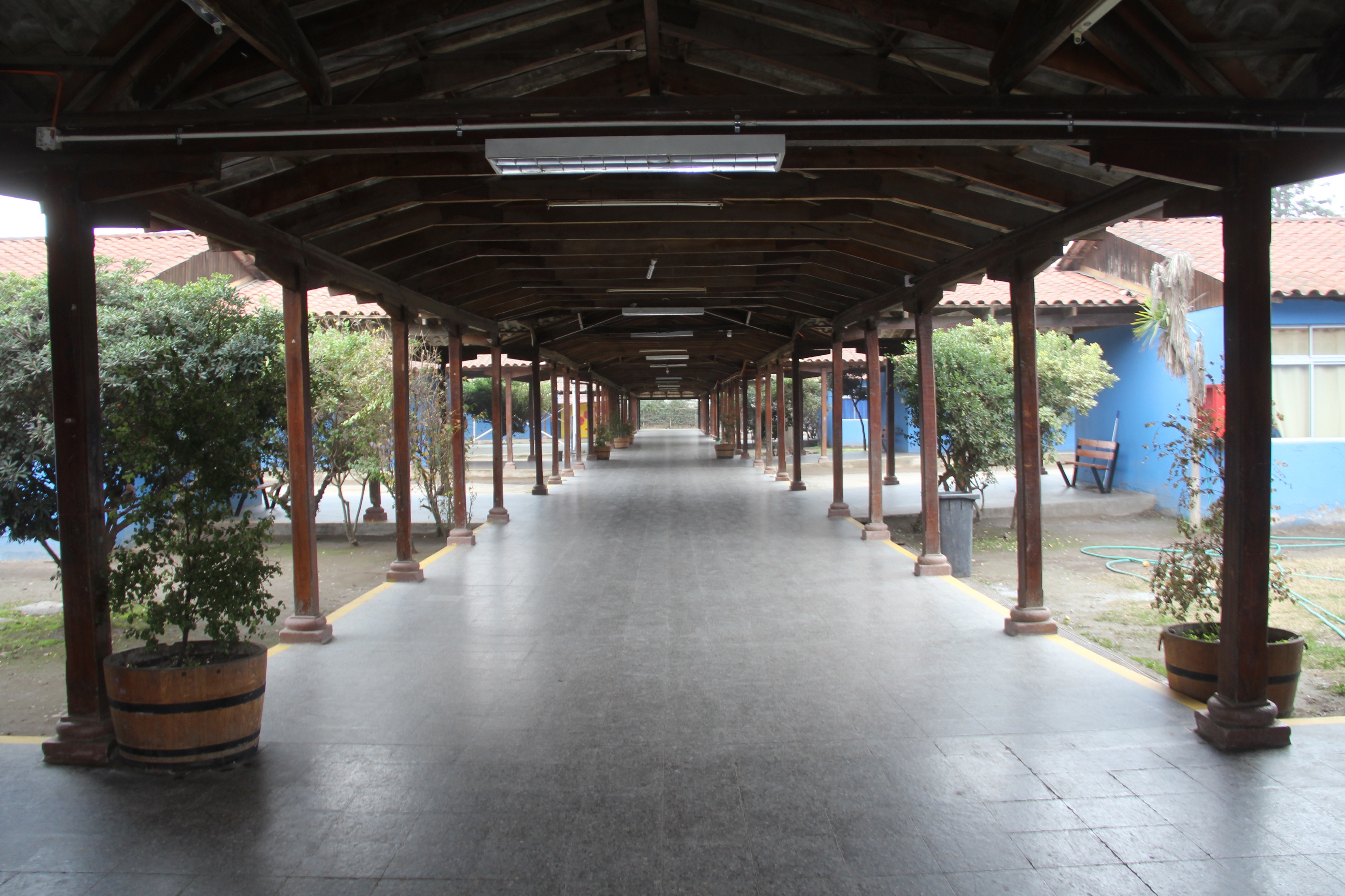 Liceo Bicentenario Mario Bertero Cevasco