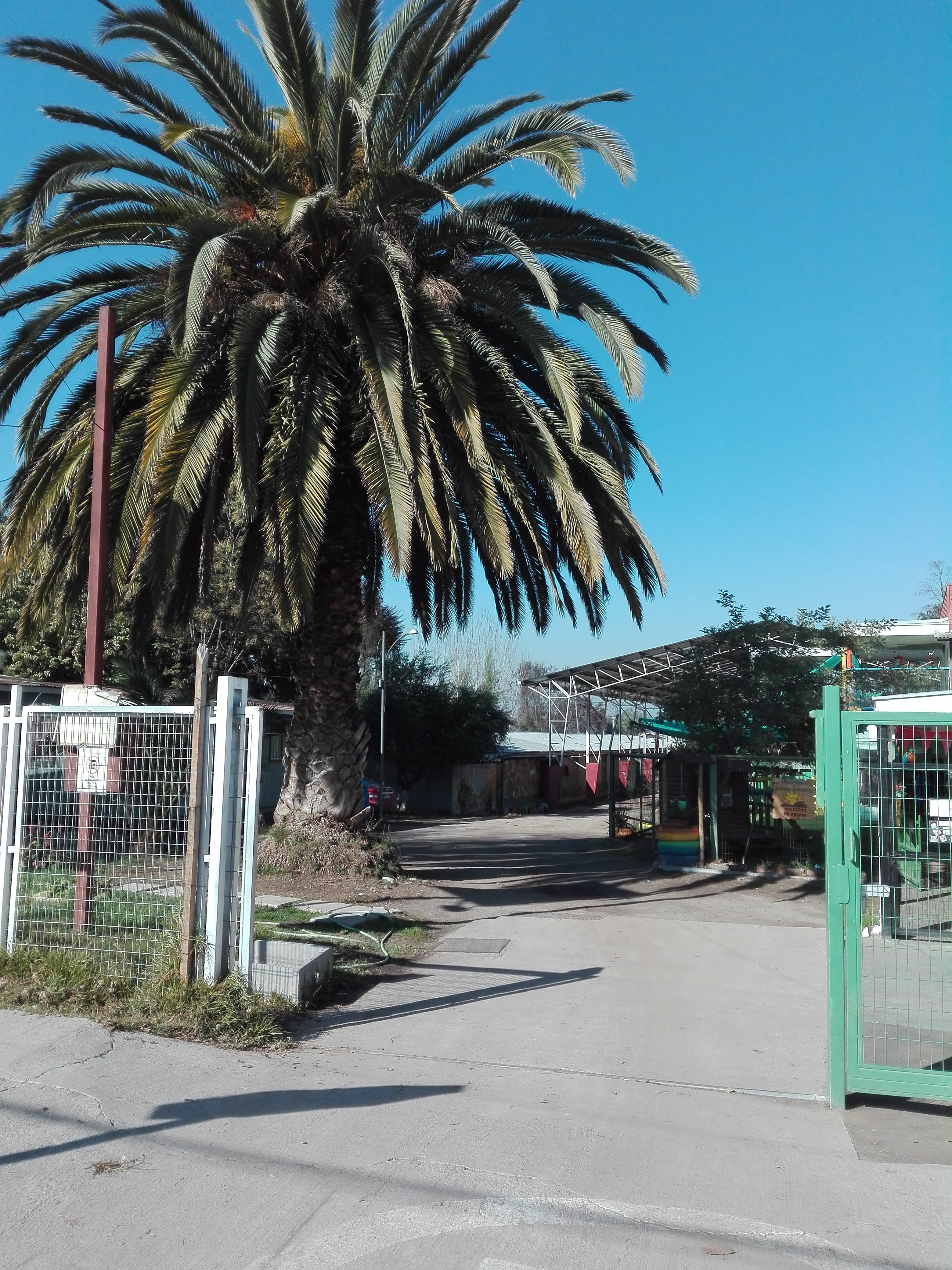 Escuela Basica G-N°673 Pelvin San Francisco De Asis