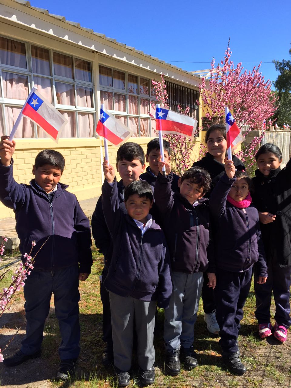 Escuela Basica Baldomero Lillo Figueroa