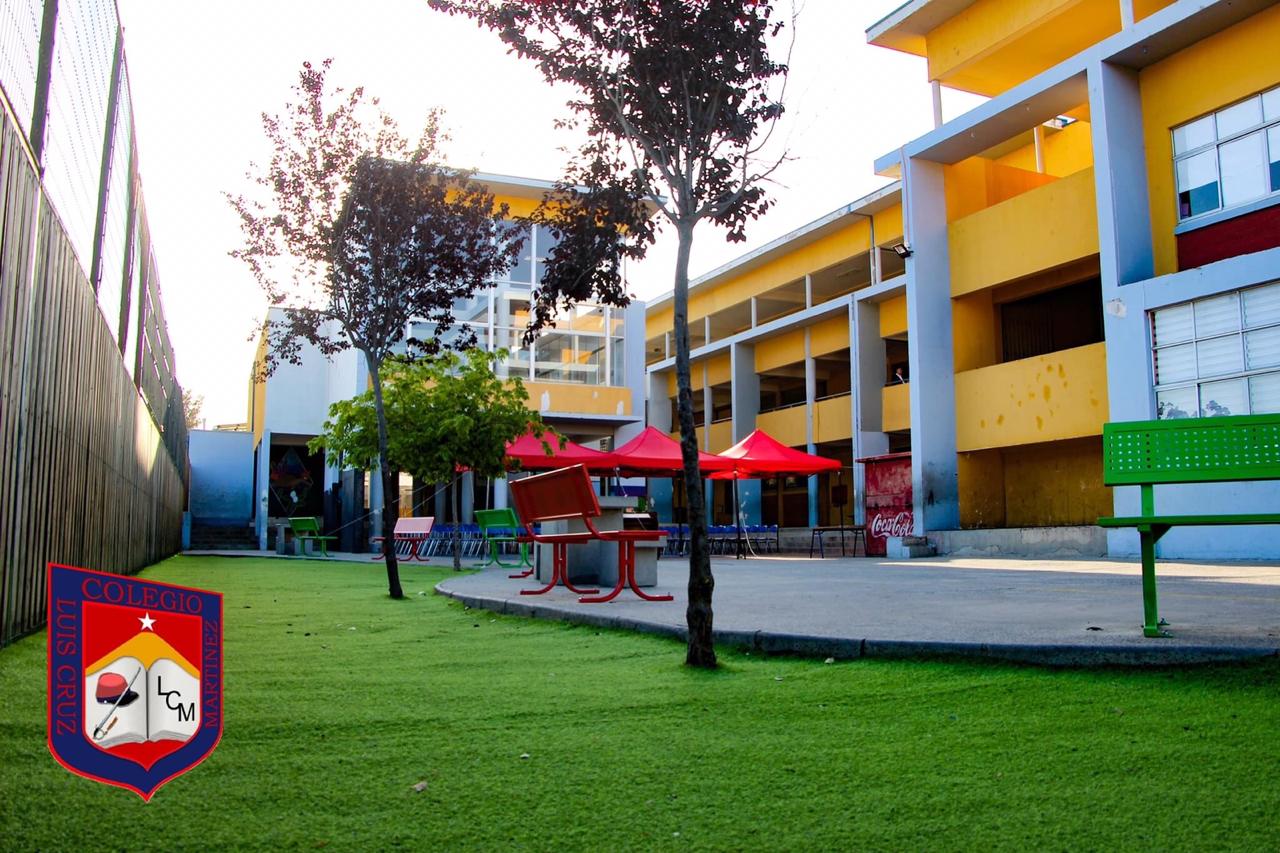 Colegio Luis Cruz Martinez