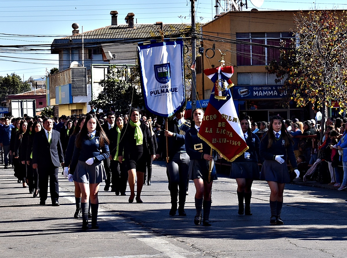 Liceo Pulmahue De La Ligua