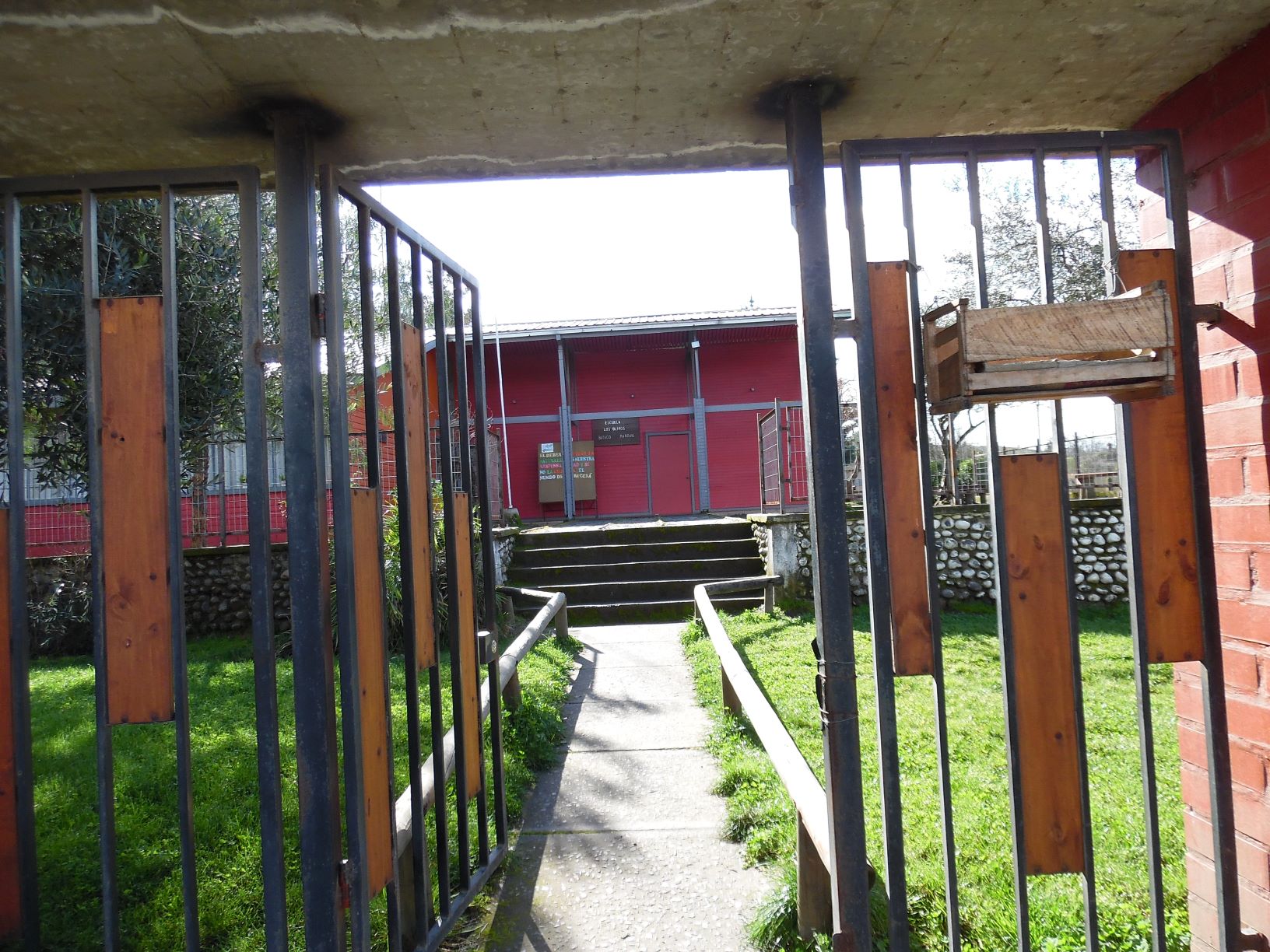 Escuela Basica Los Olivos