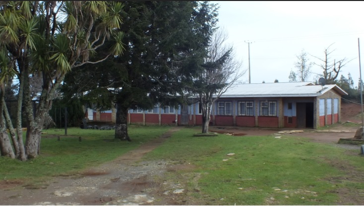Escuela Particular Alepue