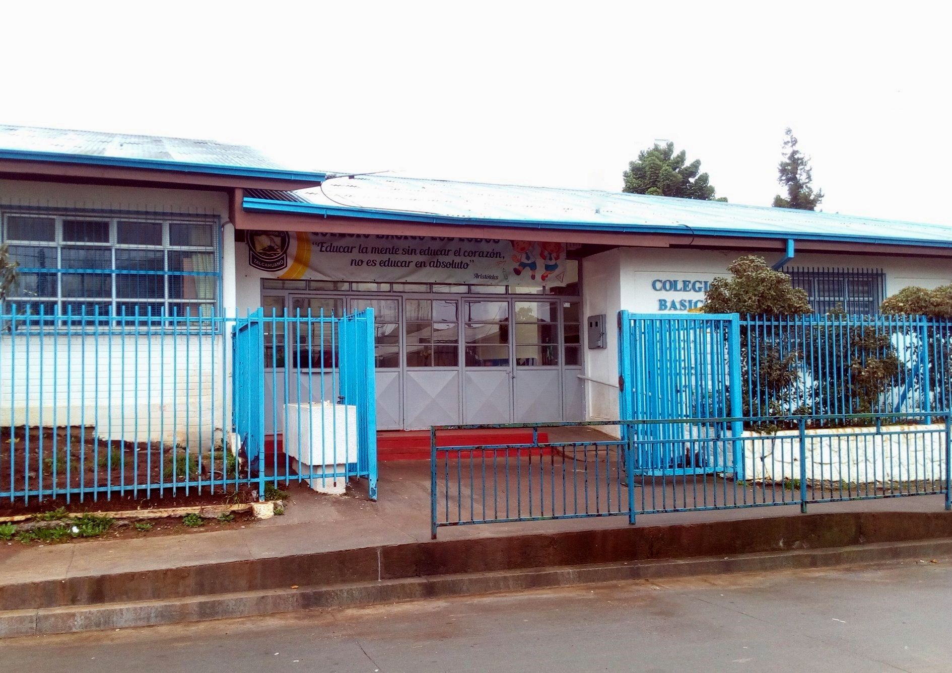 Colegio Basico Los Lobos