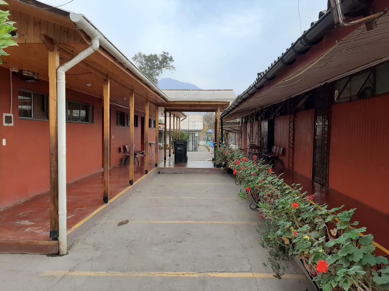 Escuela Bucalemito