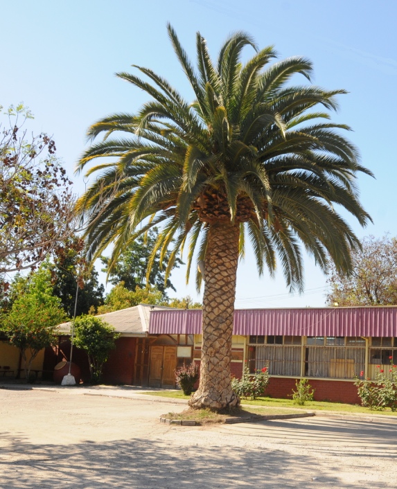 Escuela Guillermo Banados Honorato