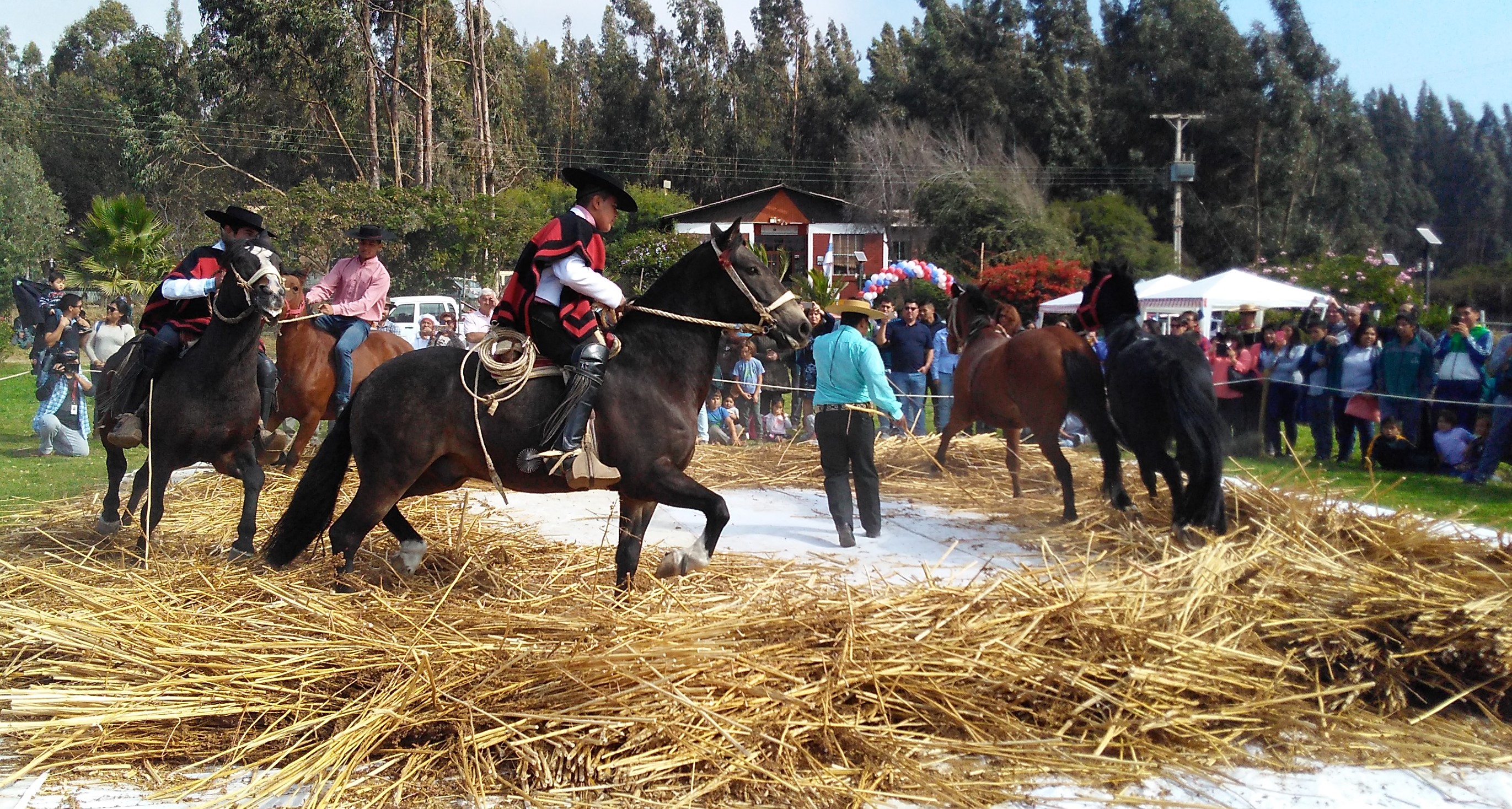 Esc. Familiar Agricola Valle Del Elqui