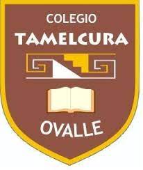 Colegio Tamelcura