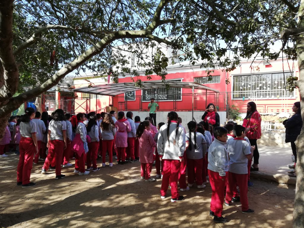 Colegio Medioambiental Las Amapolas