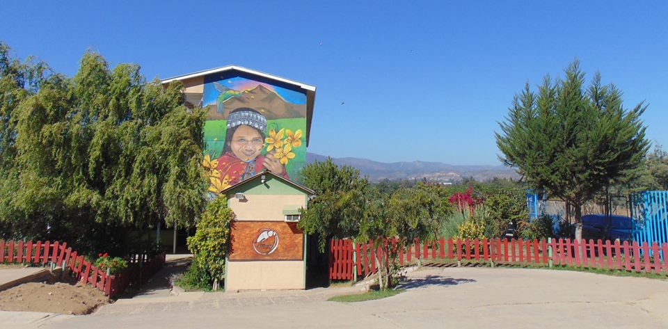 Colegio Amancay Limache