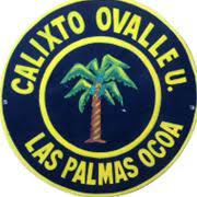 Escuela Basica Calixto Ovalle Urzua