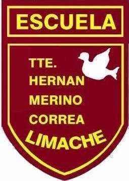 Escuela Coeduc Tte Hernan Merino Correa