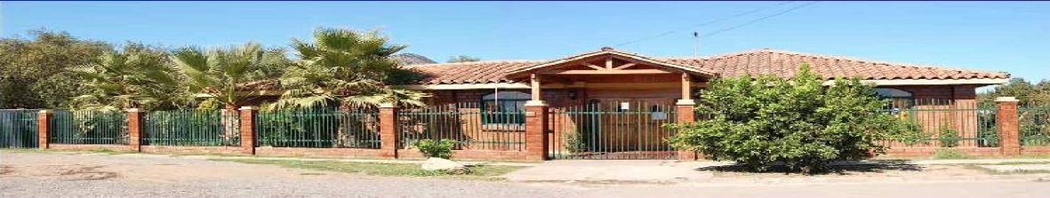Colegio Criptocarya Alba