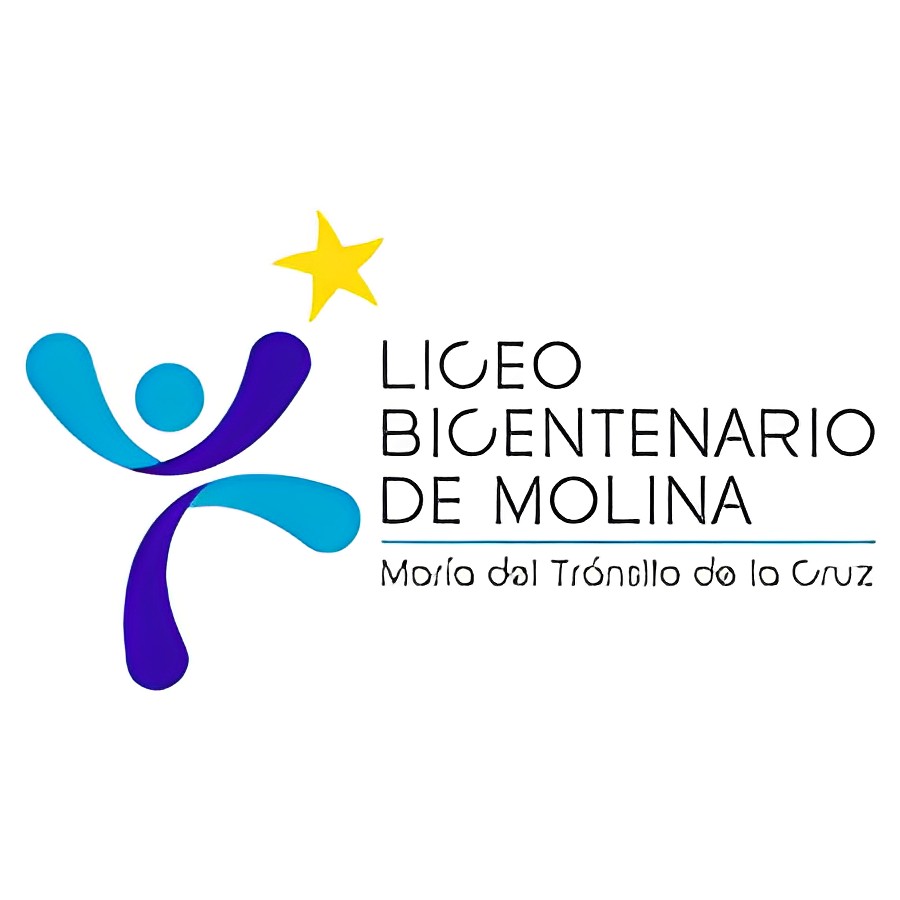 Liceo Bicentenario De Molina Maria Del Tránsito De La Cruz