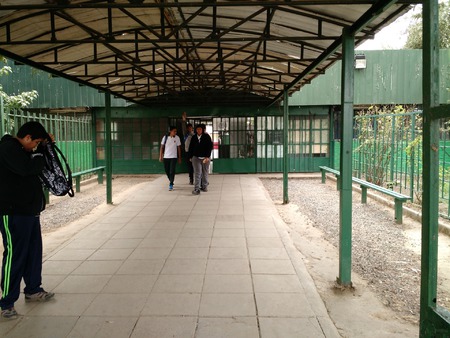 Colegio Lyon´S School