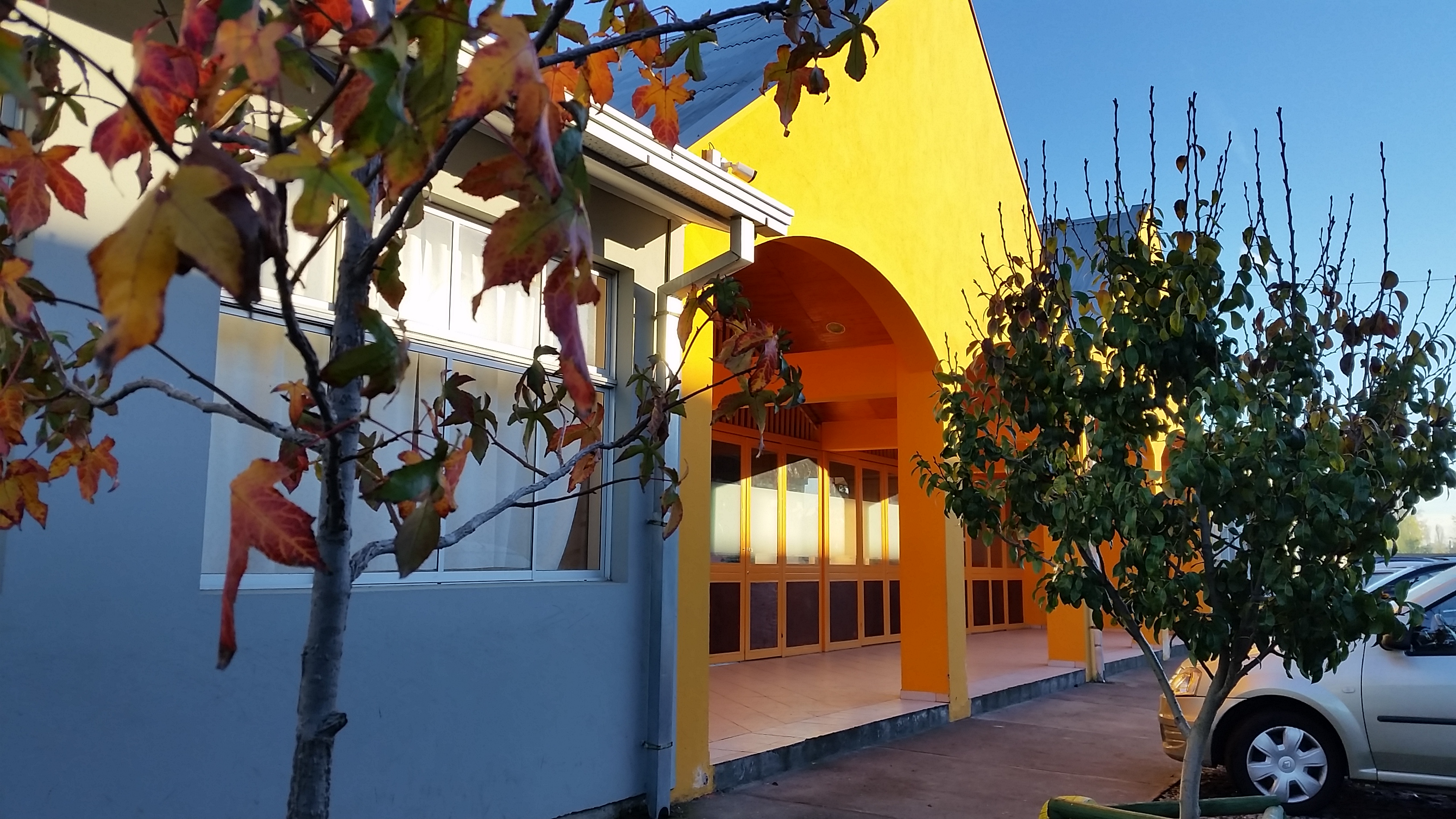 Colegio El Boldo
