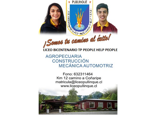 Liceo Tecnico Profesional People Help People Pullinque