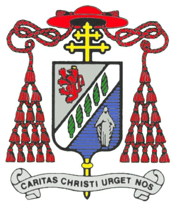 Colegio Excmo. Cardenal Raul Silva Henriquez