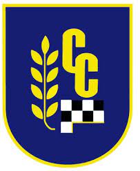 Colegio Concepcion De Chillan