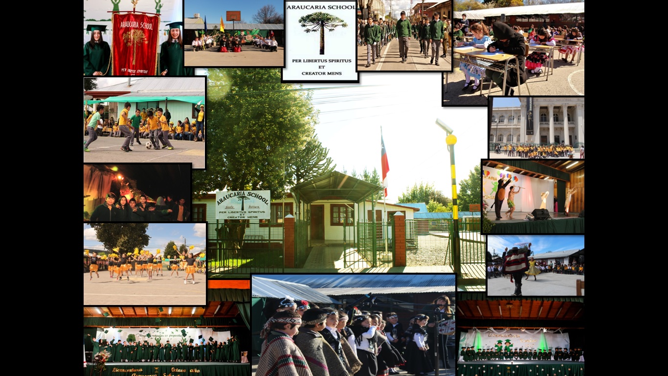 Araucaria School
