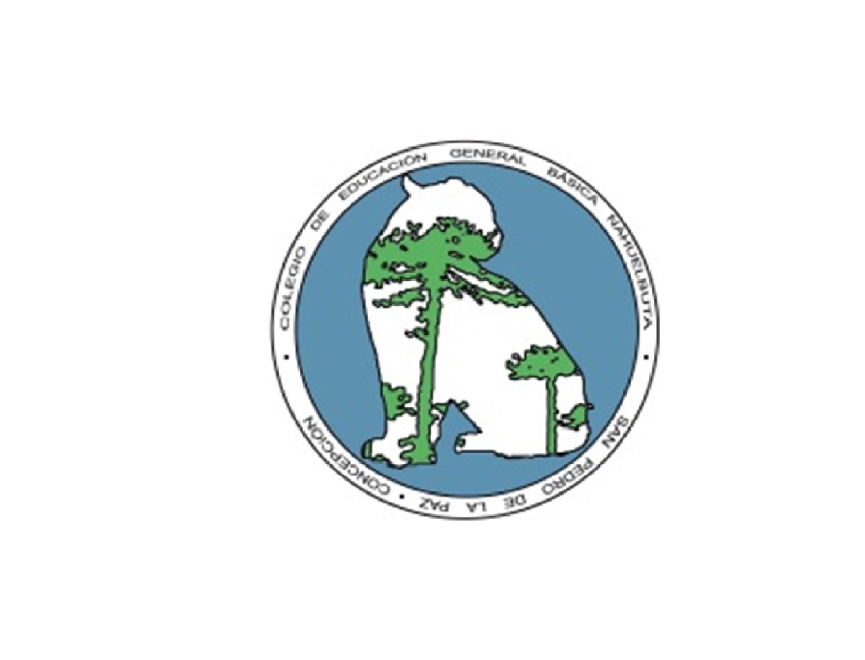 Escuela Basica Nahuelbuta