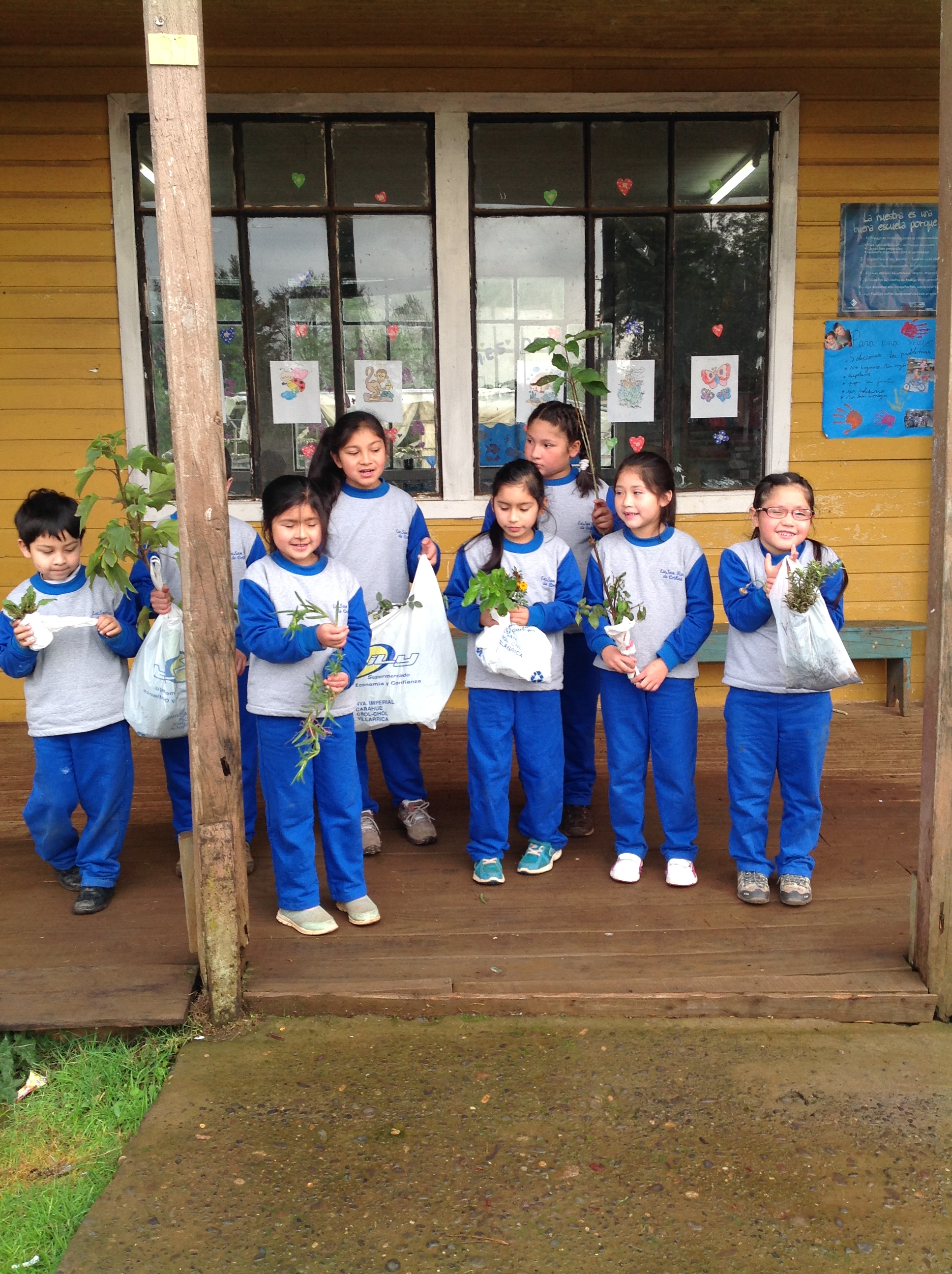 Esc.Part.San Francisco De Coihue