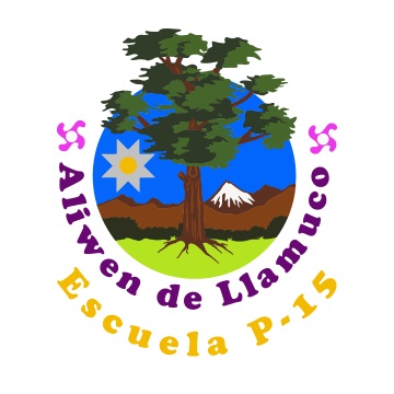 Escuela Aliwen De Llamuco