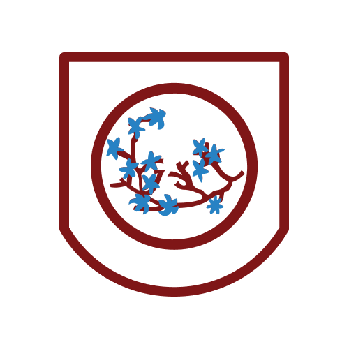 Colegio Dr. Ricardo Olea