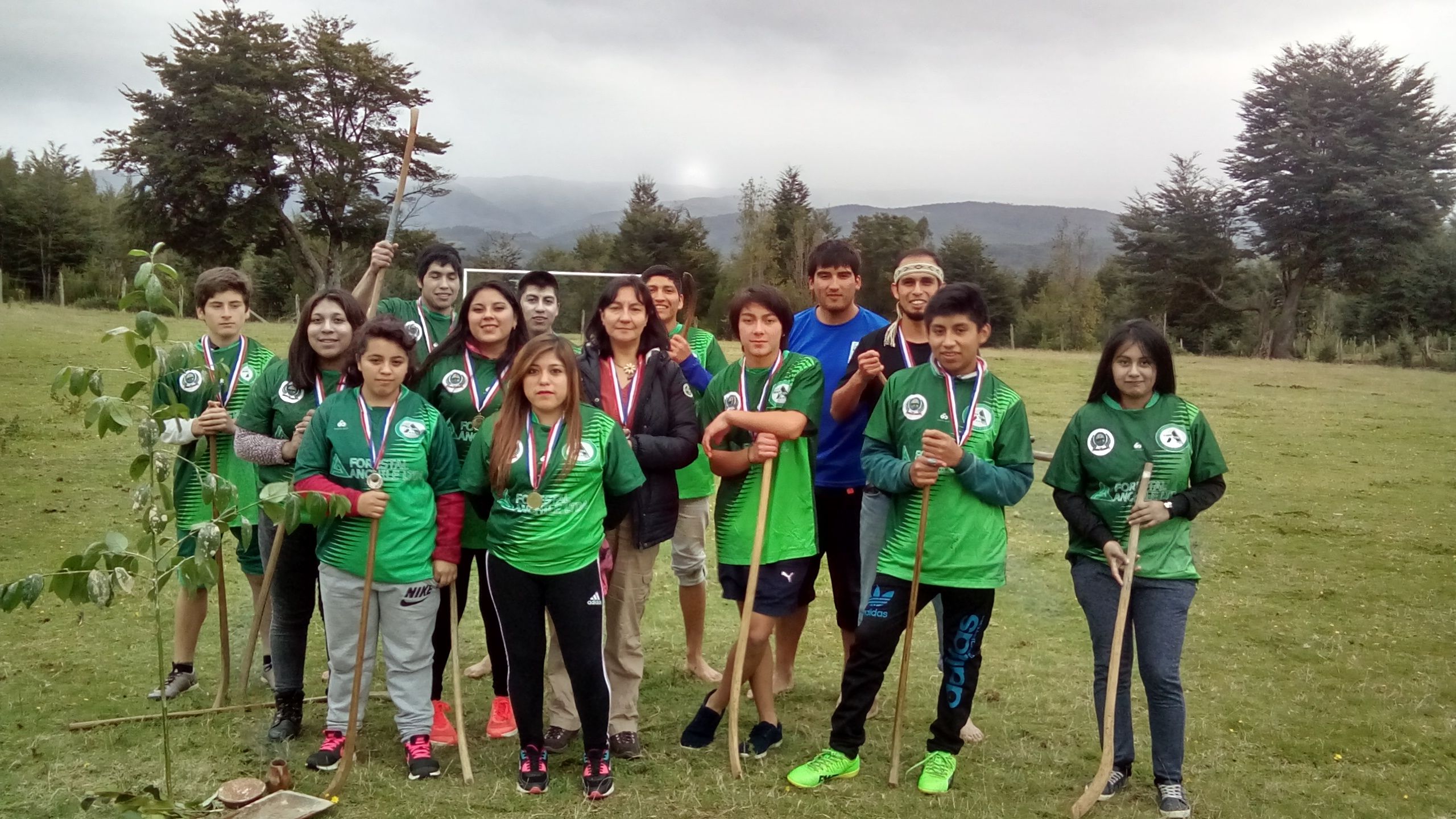 Liceo Politecnico Antulafken