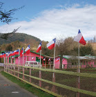 Escuela Particular Alonso De Ercilla