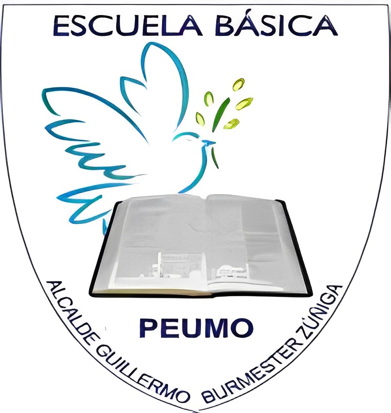 Escuela Municipal Alcalde G. Burmester