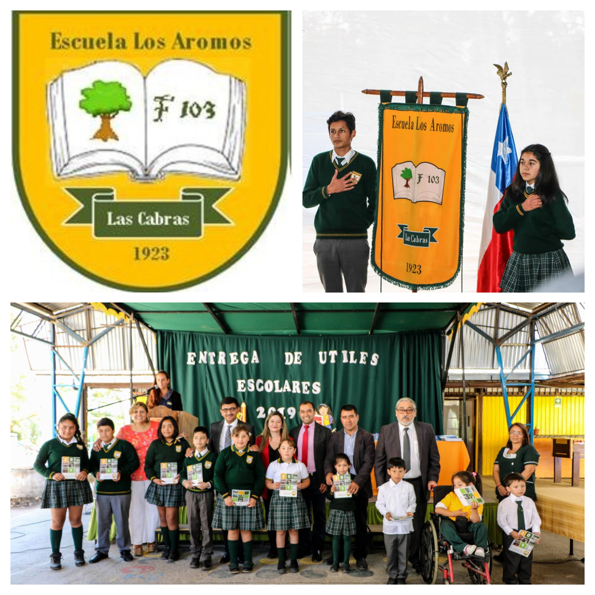 Escuela Municipal De Los Aromos