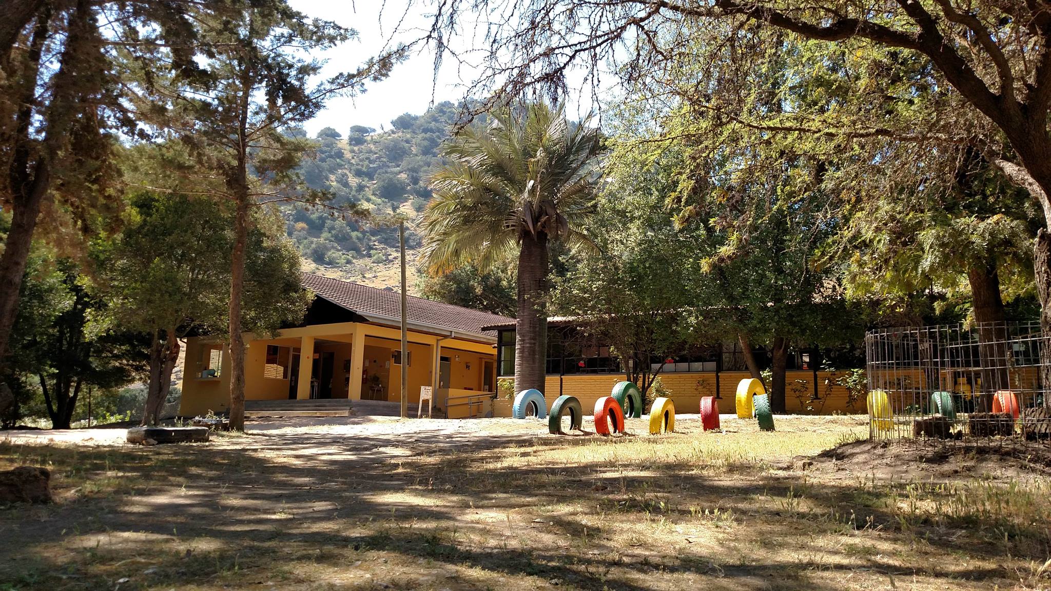 Escuela Municipal De Palmeria