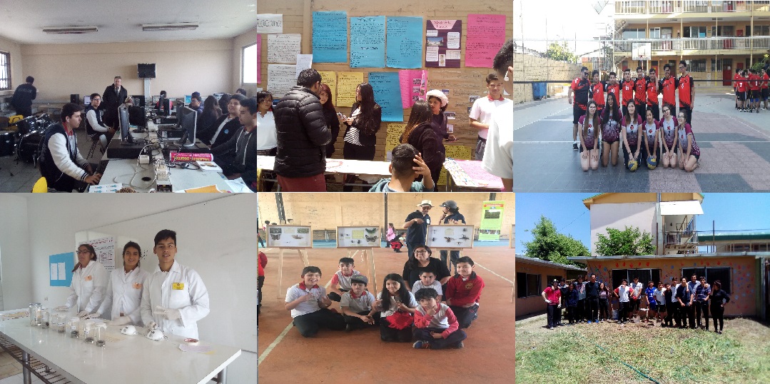 Colegio Polivalente Lovaina
