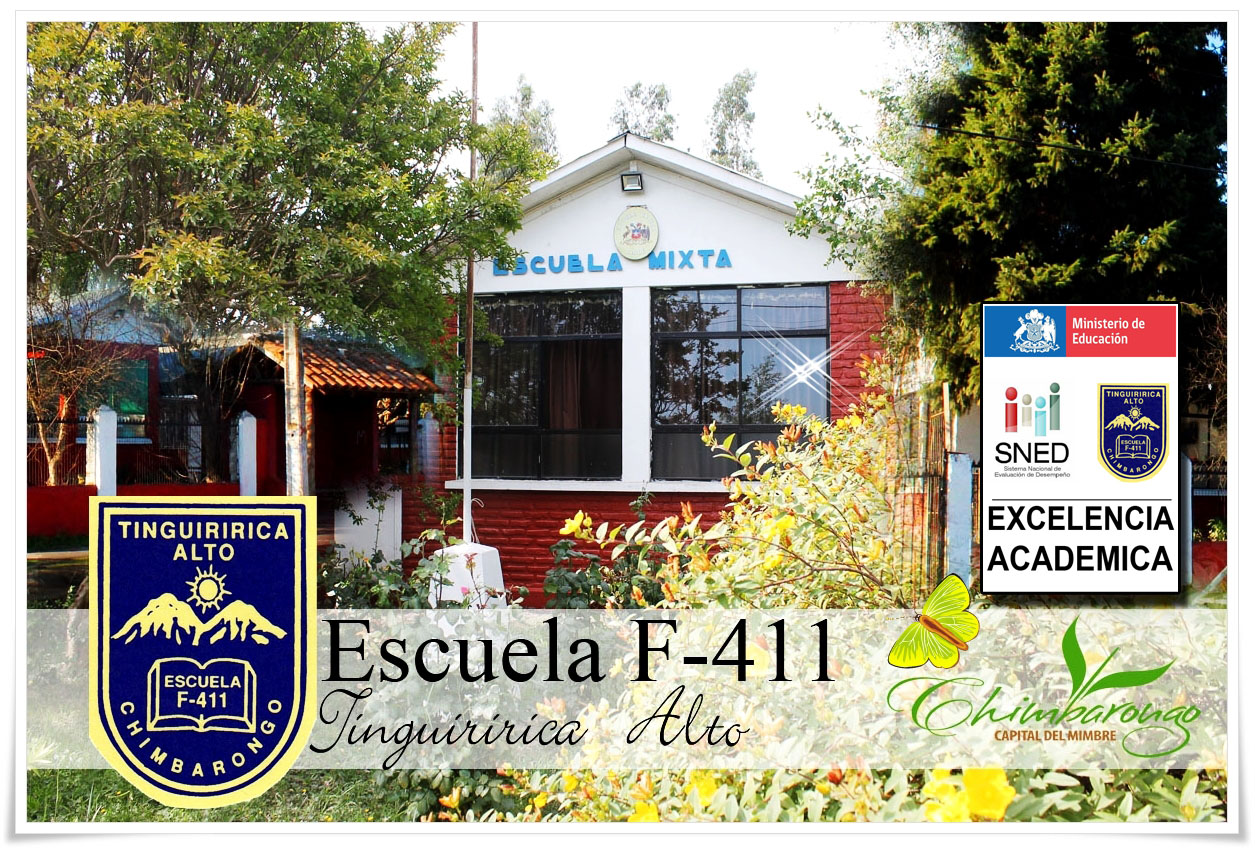 Escuela Municipal Tinguiririca Alto F-411