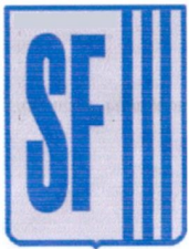 Colegio San Fernando De Puente Alto