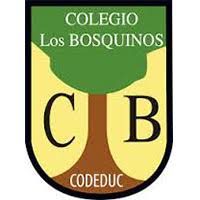 Escuela Basica Los Bosquinos