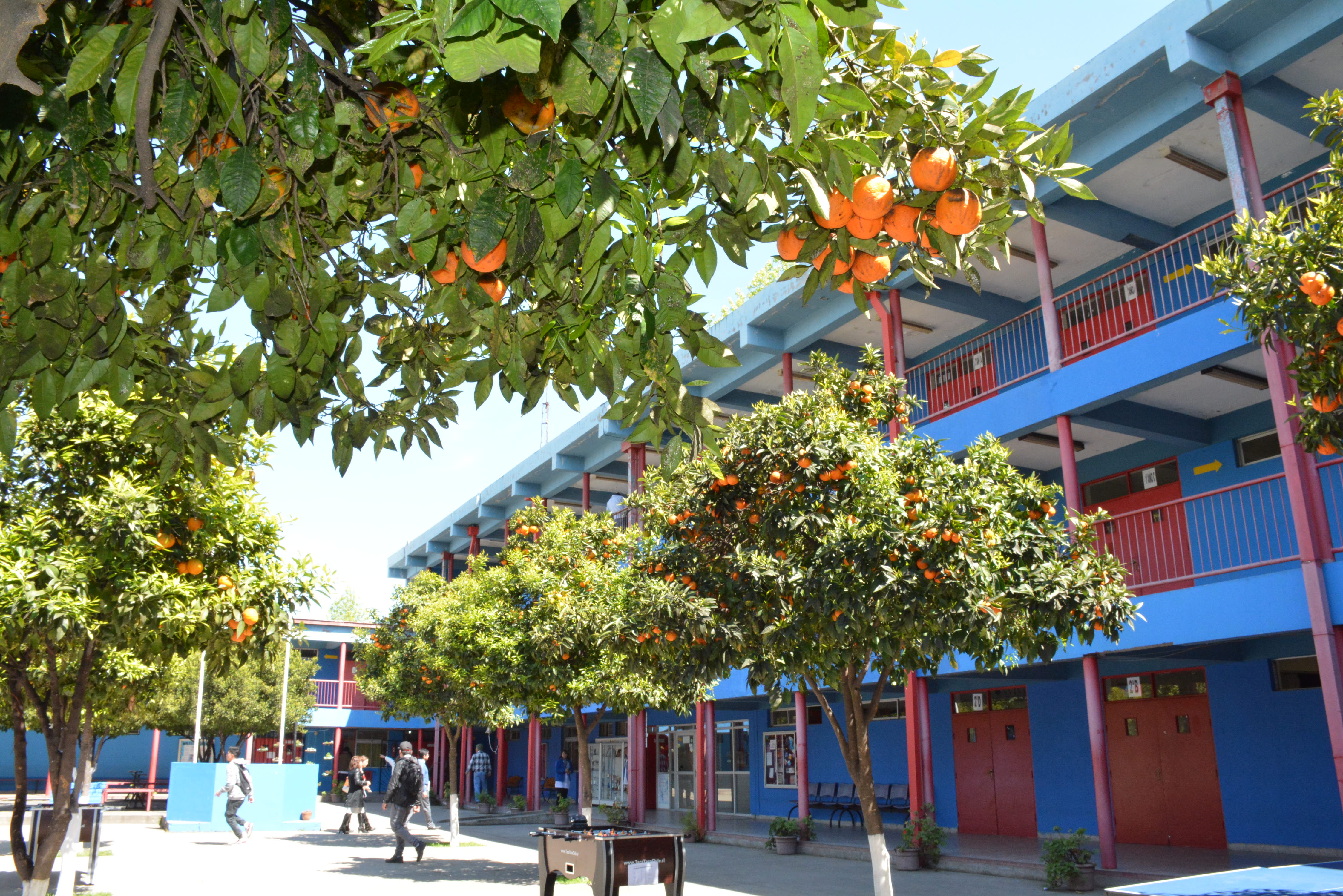 Liceo Municipal Juan Pablo Ii
