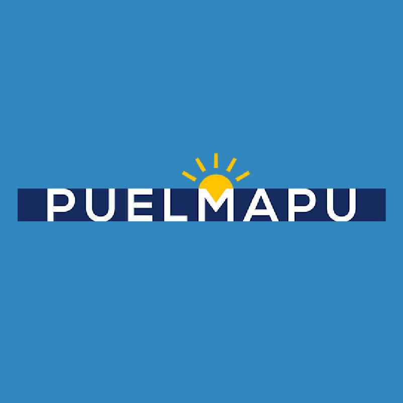 Colegio Puelmapu