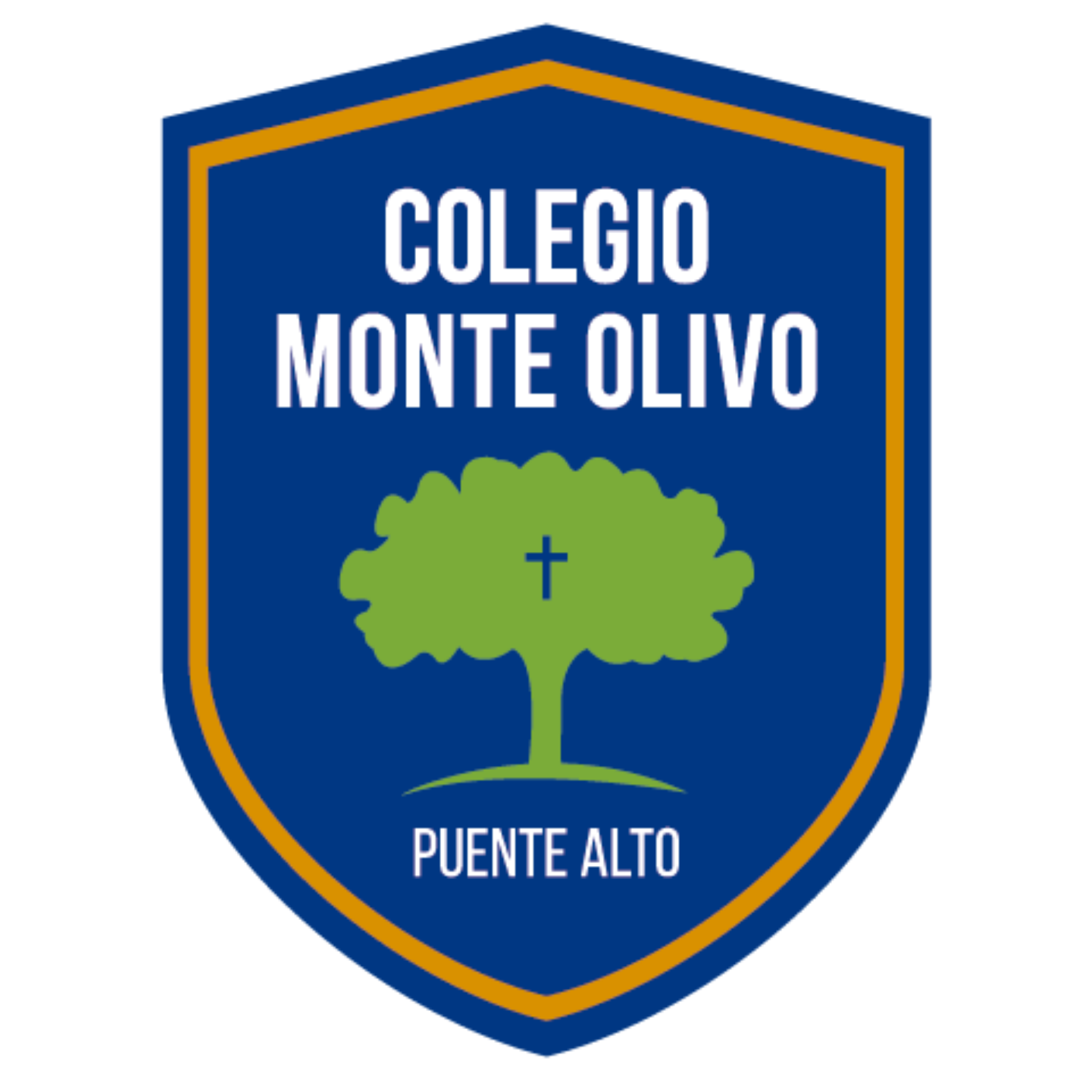 Colegio Monte Olivo De Puente Alto