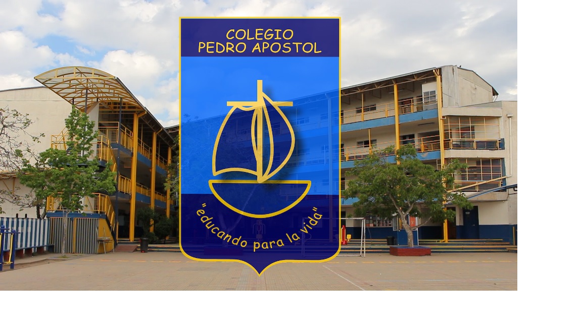 Colegio Bicentenario De Excelencia Pedro Apostol