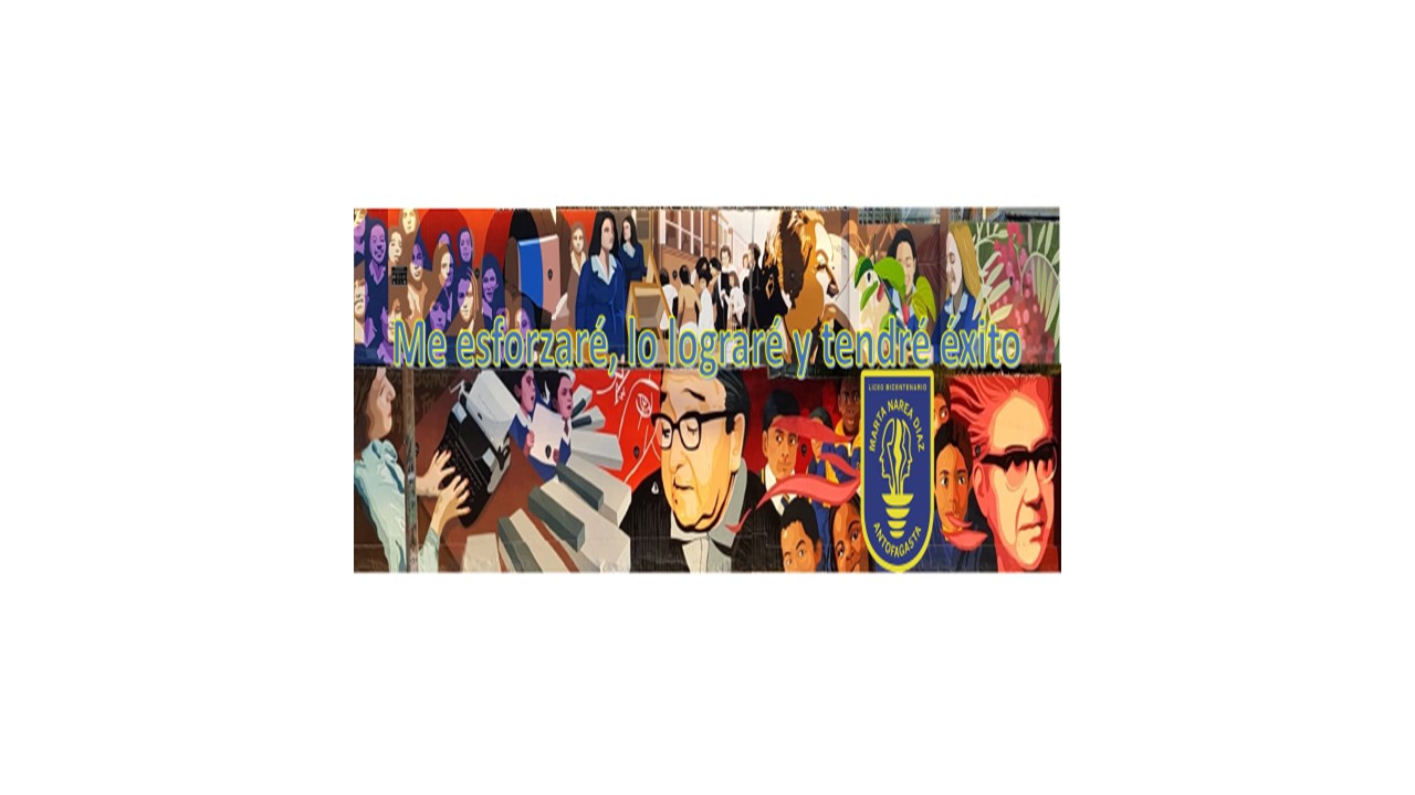 Liceo Bicentenario Marta Narea Diaz