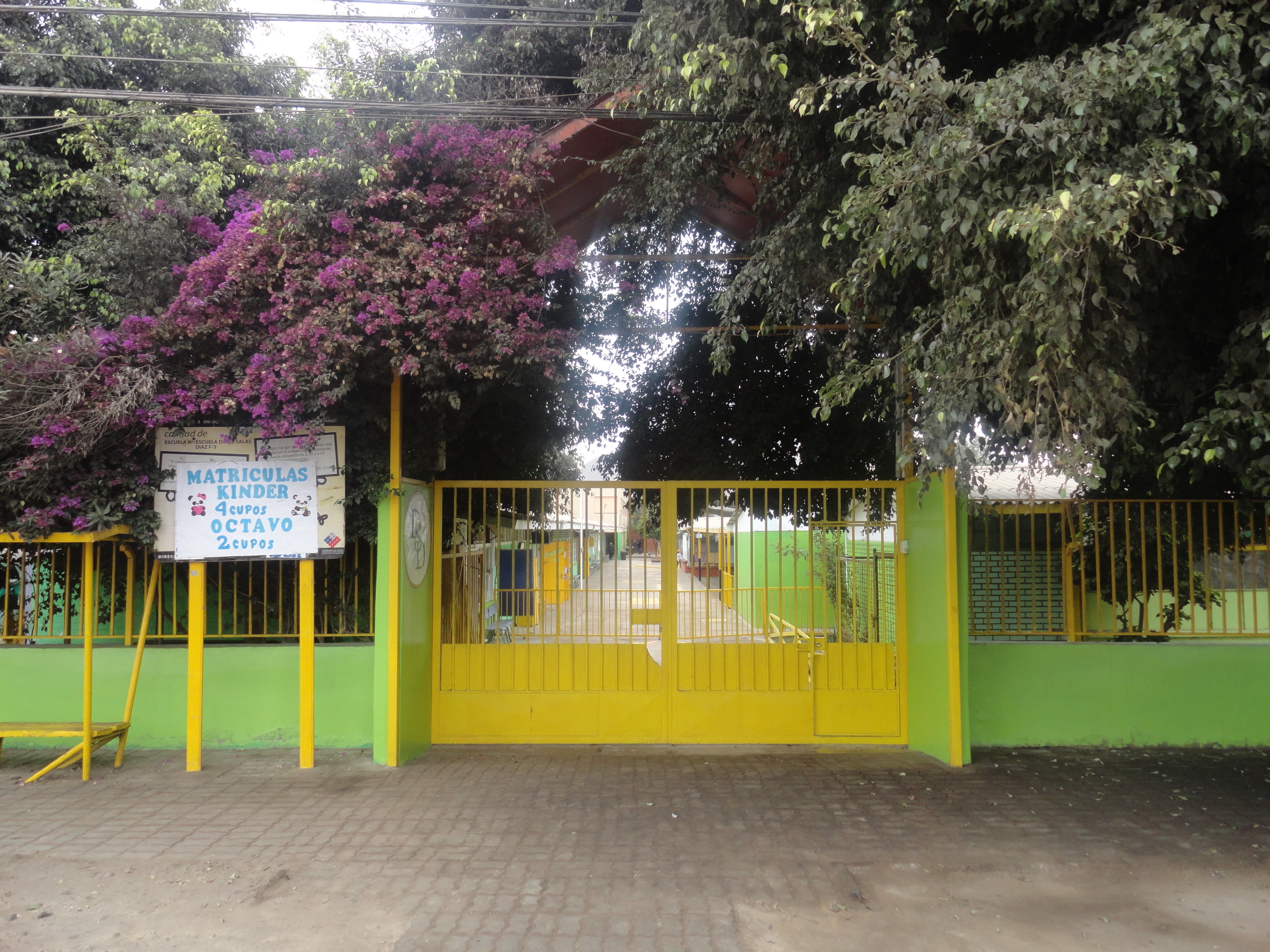 Escuela Dario Salas Diaz