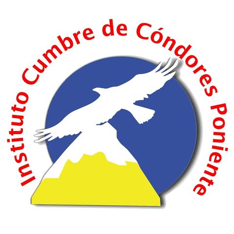 Liceo Instituto Cumbre De Condores